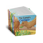 Set of children's books titled 'Animals Pray Too!' on a white background